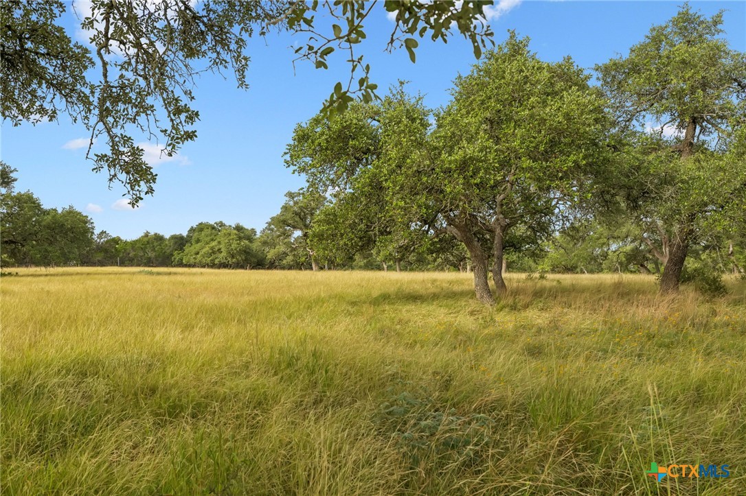 656 San Marcos Trl Property Photo 11