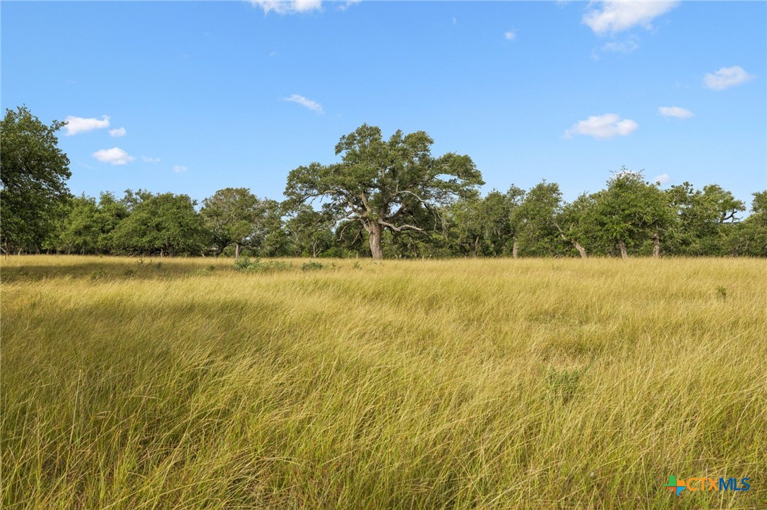 656 San Marcos Trl Property Photo 14