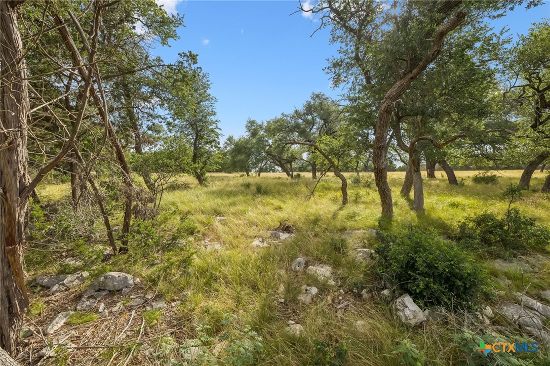 656 San Marcos Trl Property Photo 20