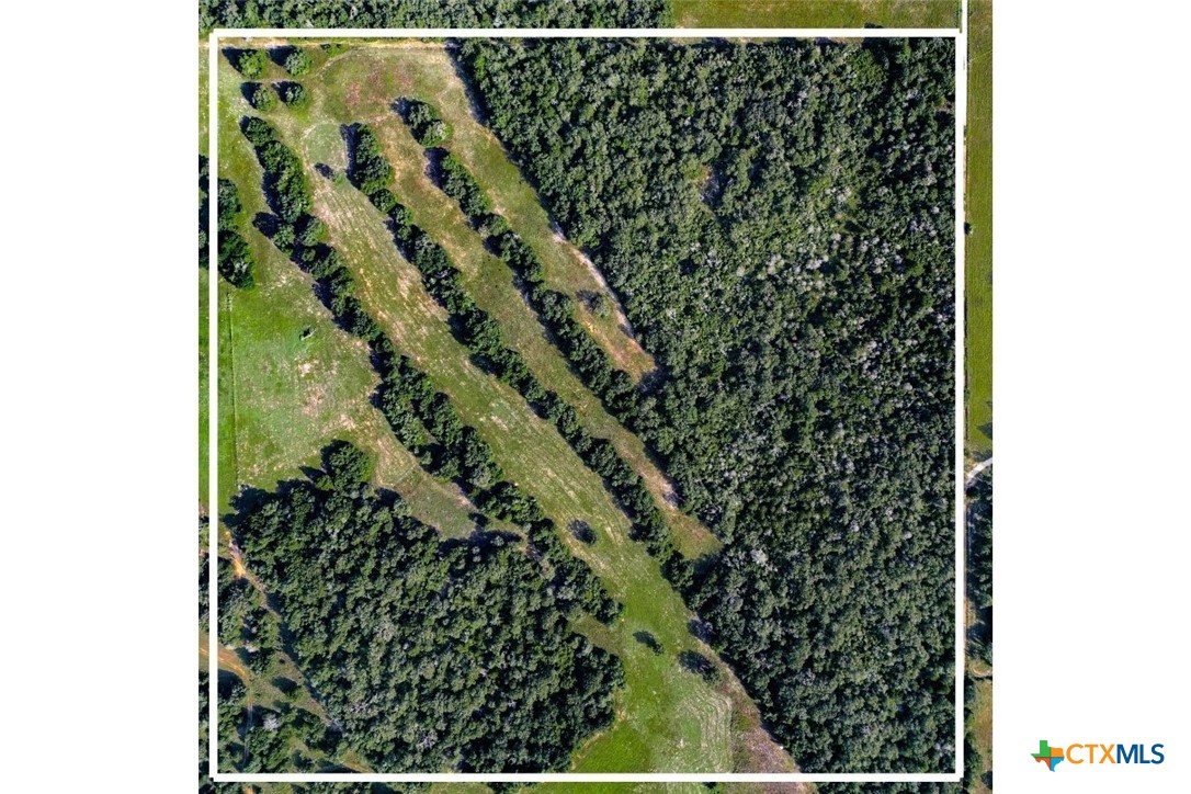 TBD CR 328 Property Photo 1