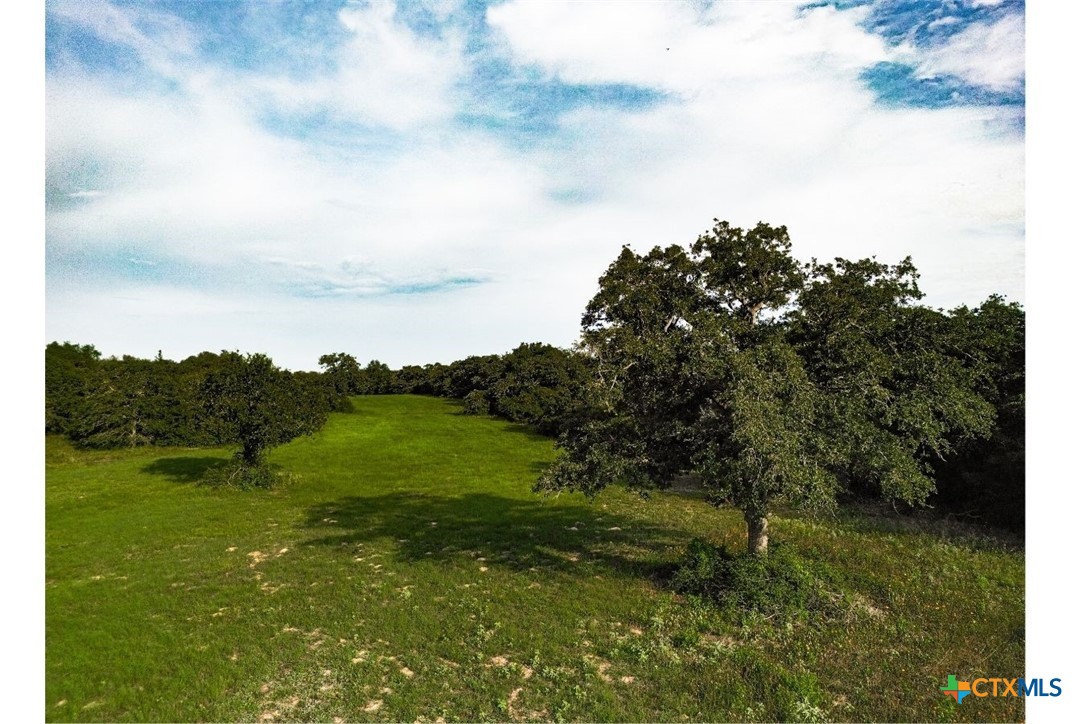 Tbd Cr 328 Property Photo 4