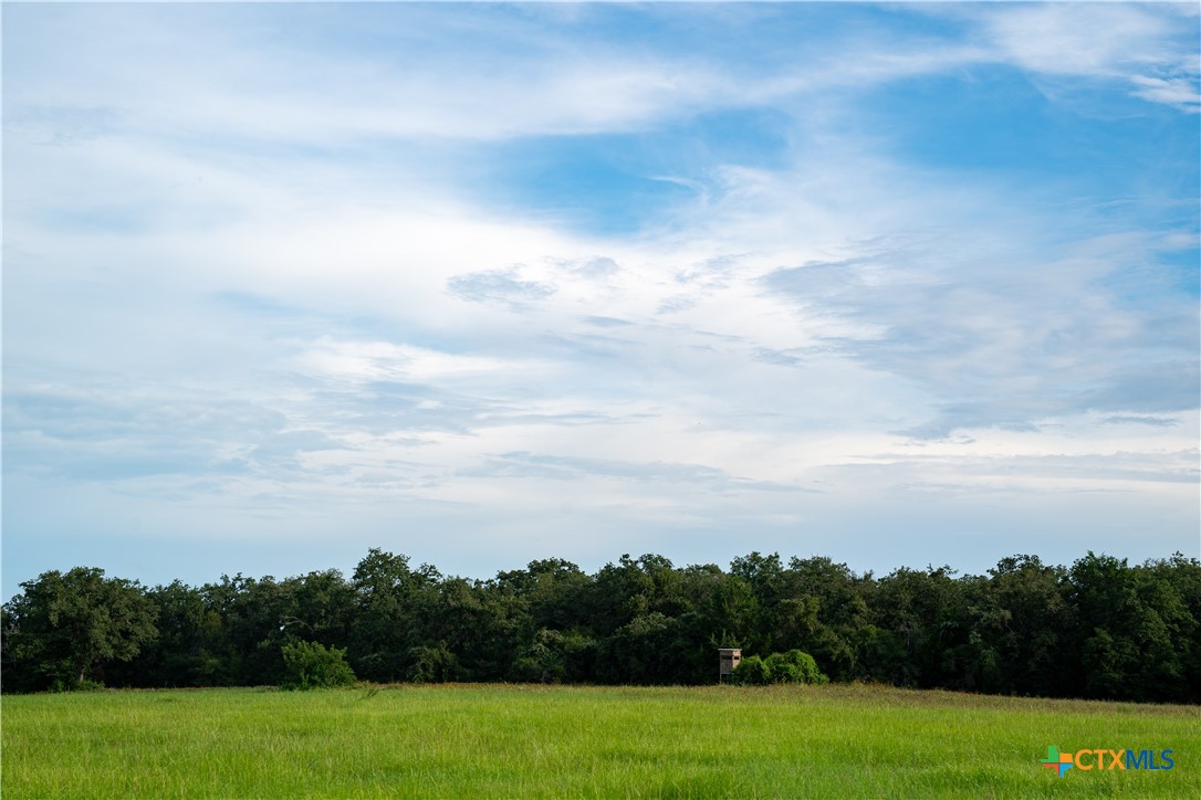 Tbd Cr 328 Property Photo 6