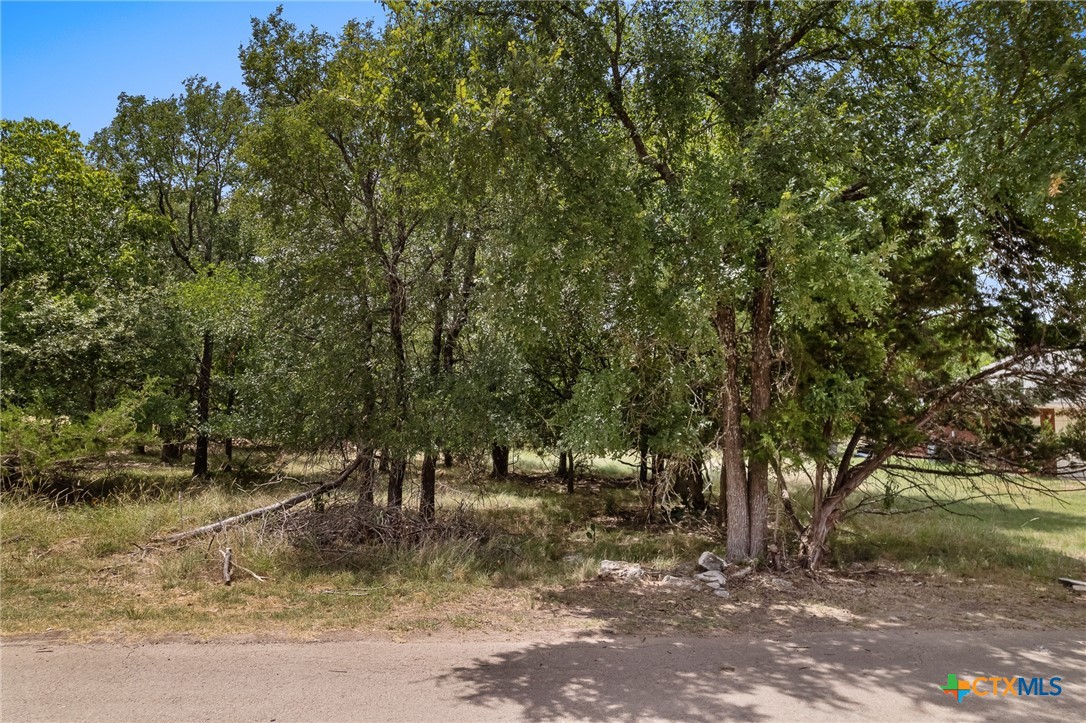 49 Buttercup Loop Property Photo 2