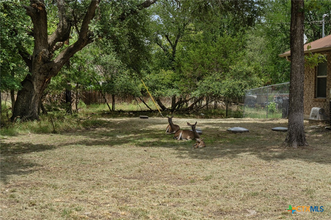 49 Buttercup Loop Property Photo 3