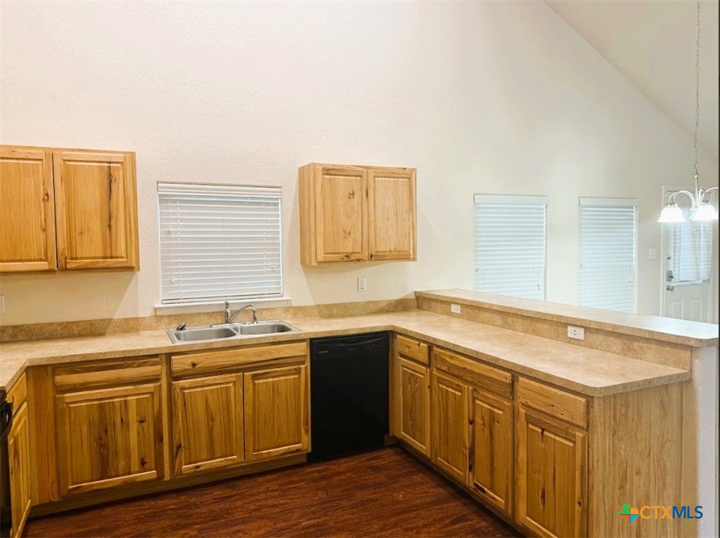 2421 Hornsby Property Photo 11