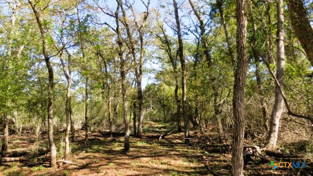 Tbd Jack Rabbit Lane Property Photo 6