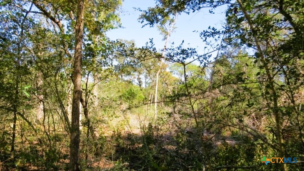 Tbd Jack Rabbit Lane Property Photo 7