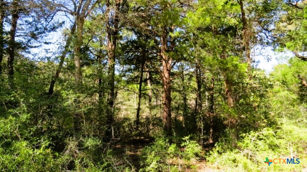 Tbd Jack Rabbit Lane Property Photo 10
