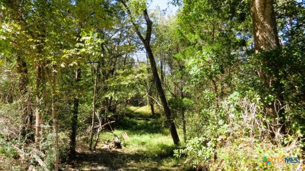 Tbd Jack Rabbit Lane Property Photo 11