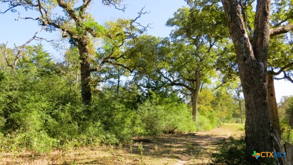 Tbd Jack Rabbit Lane Property Photo 12