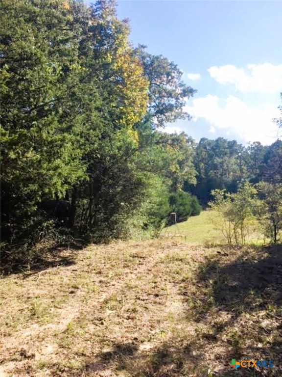 Tbd Jack Rabbit Lane Property Photo 14