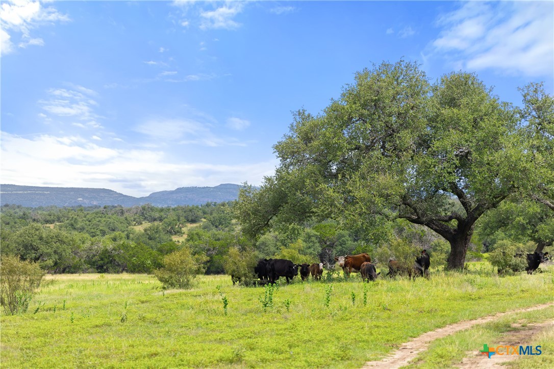 9069-47 Ranch Road 1323 Property Photo 1