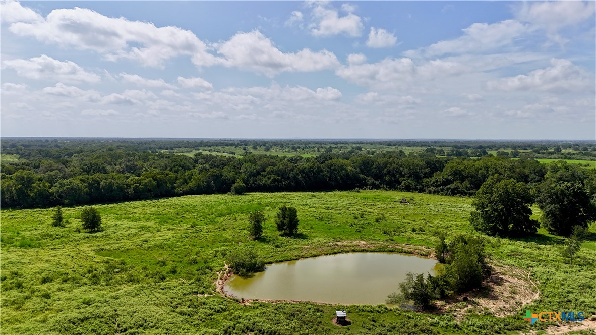9590 Maynard Hallmark Road Property Photo 3