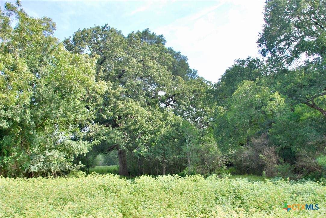 9590 Maynard Hallmark Road Property Photo 17