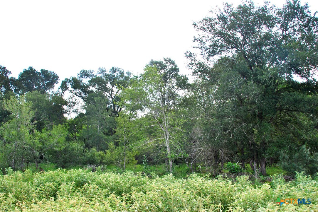 9590 Maynard Hallmark Road Property Photo 20