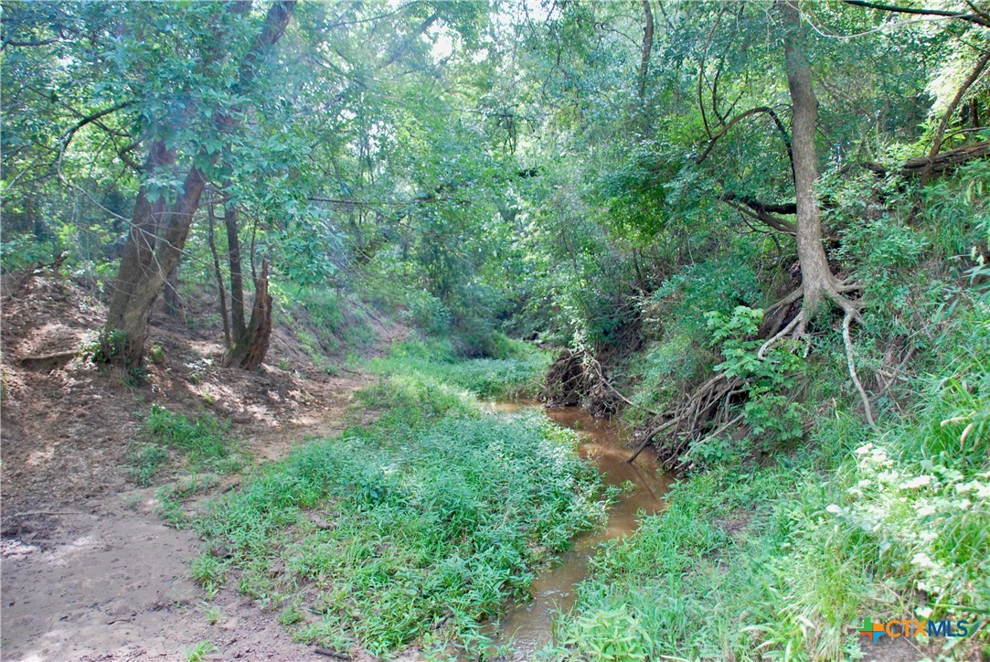 9590 Maynard Hallmark Road Property Photo 23