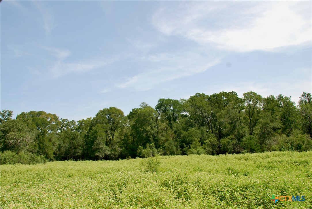 9590 Maynard Hallmark Road Property Photo 33