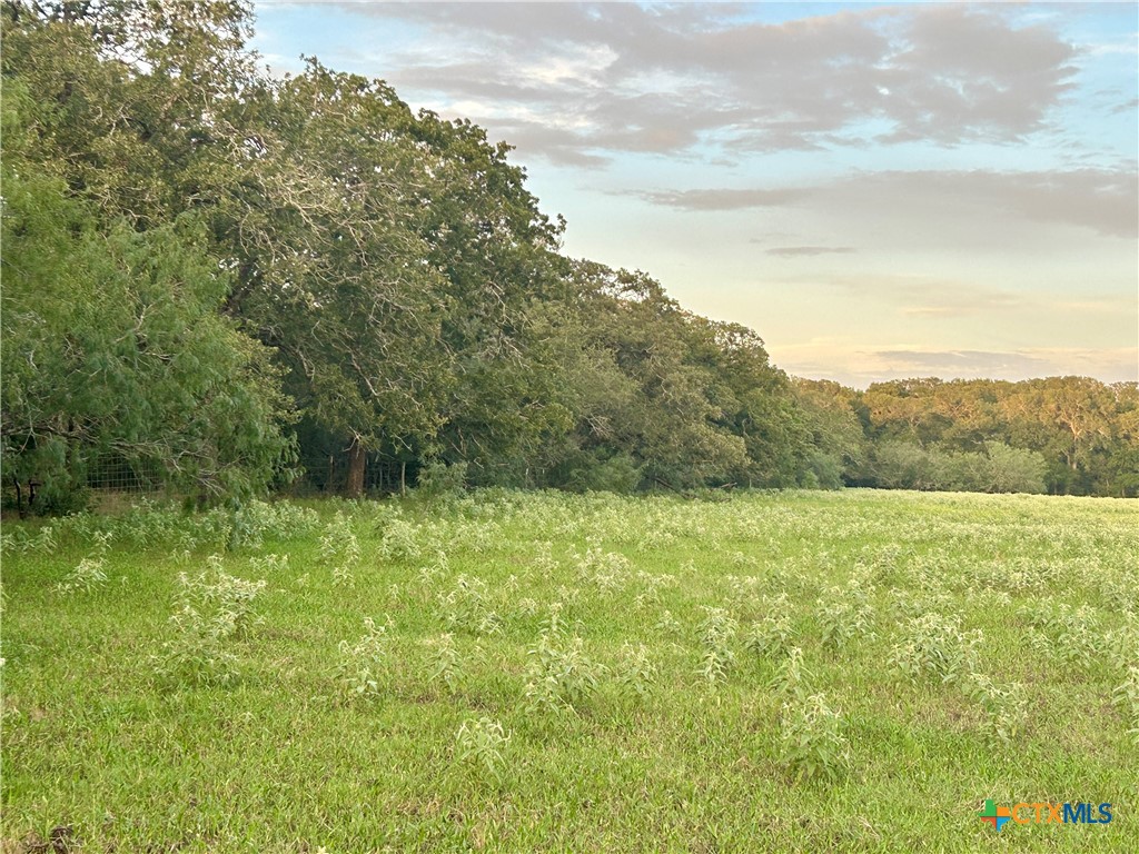 9590 Maynard Hallmark Road Property Photo 35