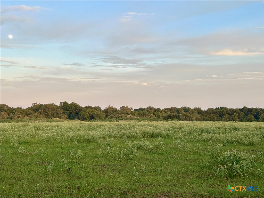 9590 Maynard Hallmark Road Property Photo 36