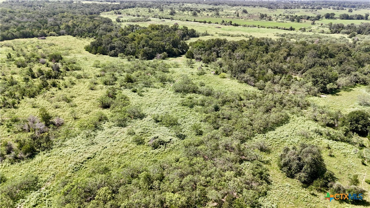 9590 Maynard Hallmark Road Property Photo 37