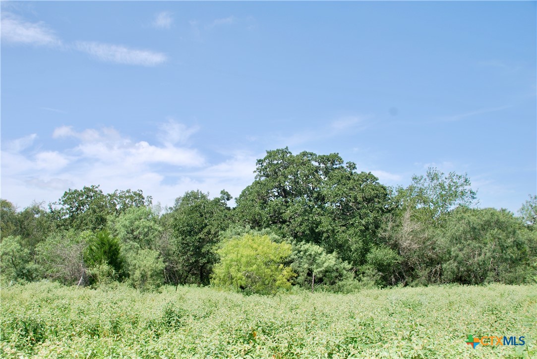 9590 Maynard Hallmark Road Property Photo 39