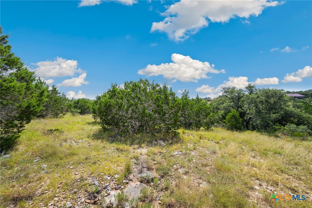 428 Cavy Road Property Photo 3