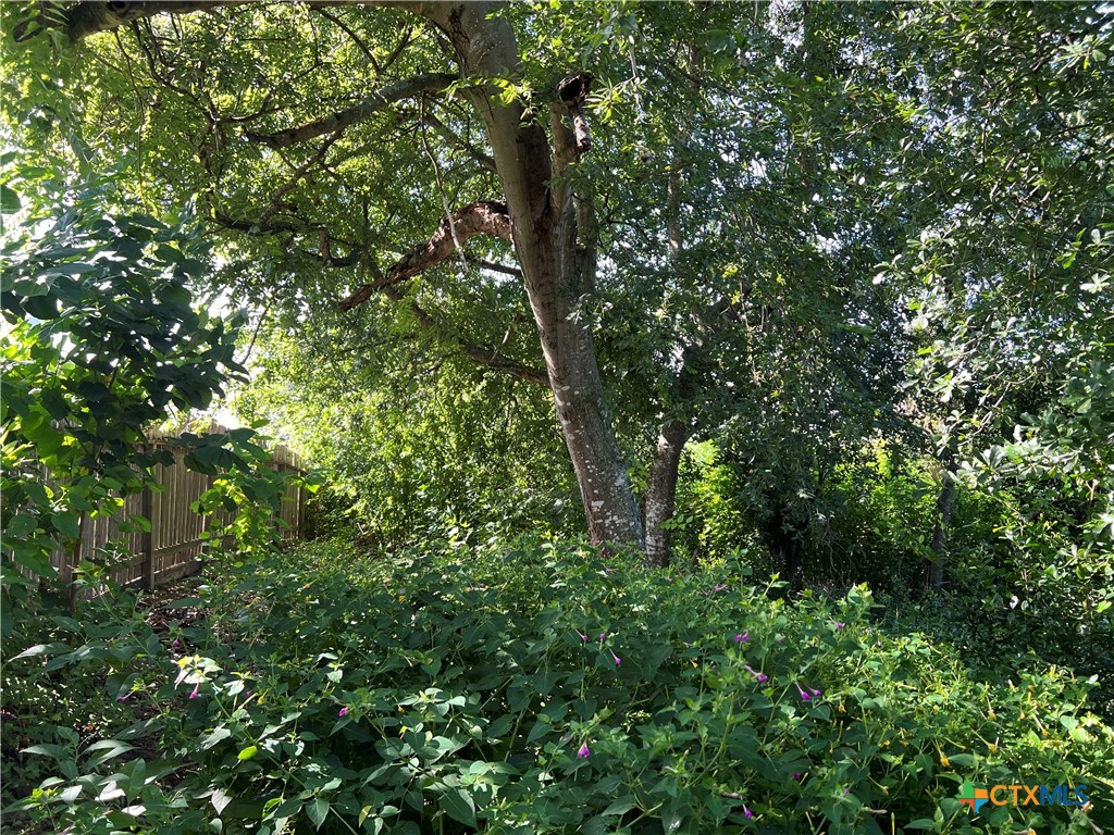 2774 N Park St Property Photo 10