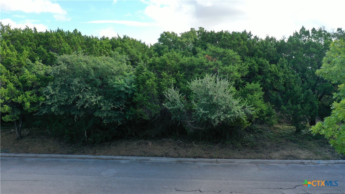 1505 Wildridge Drive Property Photo 1