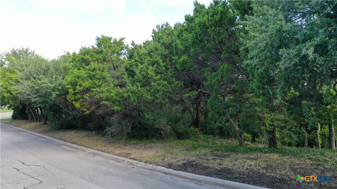 1505 Wildridge Drive Property Photo 2