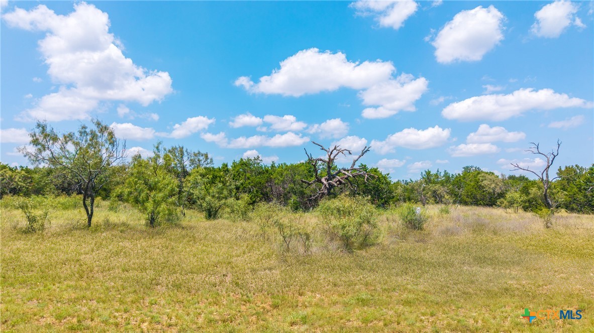 LOT 13 PR 42111