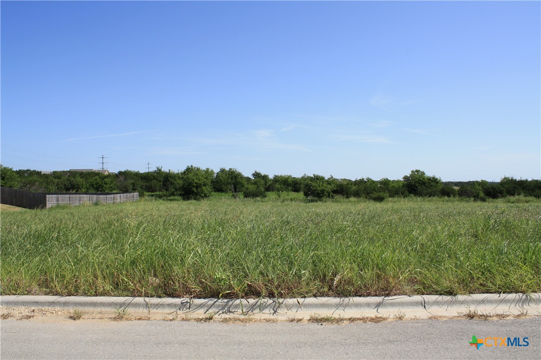 1134 Northcross Drive Property Photo 4