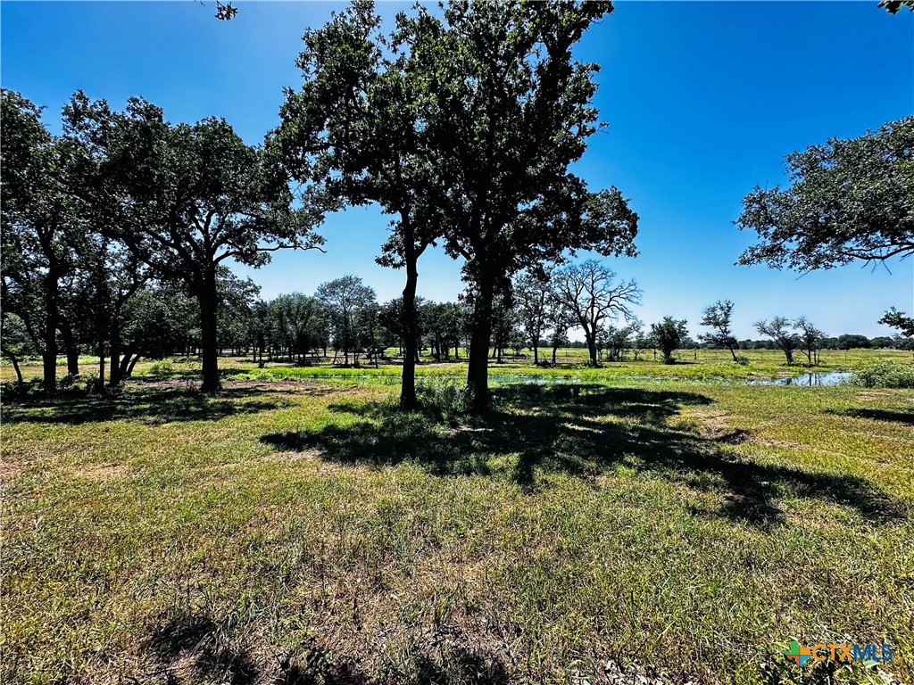600 Rice Davis Road Property Photo 28