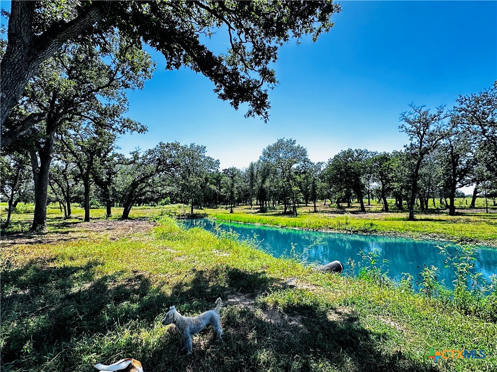 600 Rice Davis Road Property Photo 29