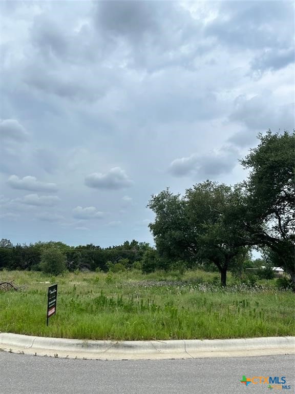 7038 Troyan Lane Property Photo 1