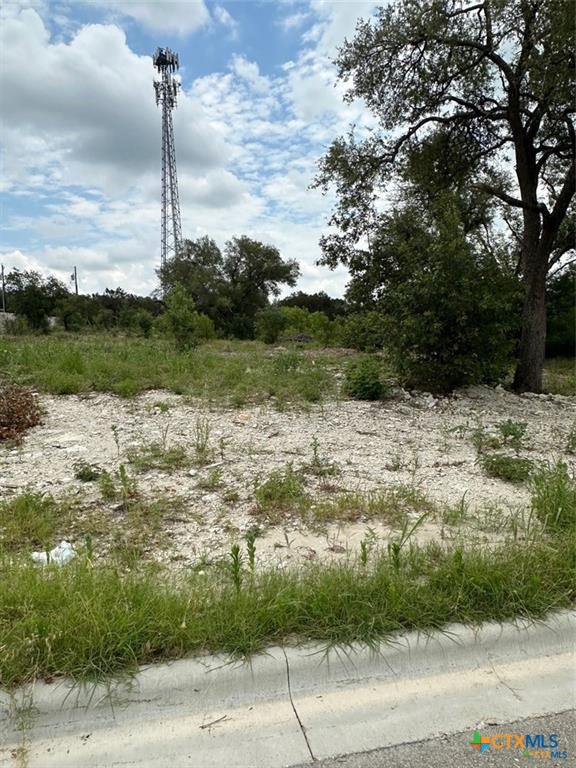 7027 Troyan Lane Property Photo 1