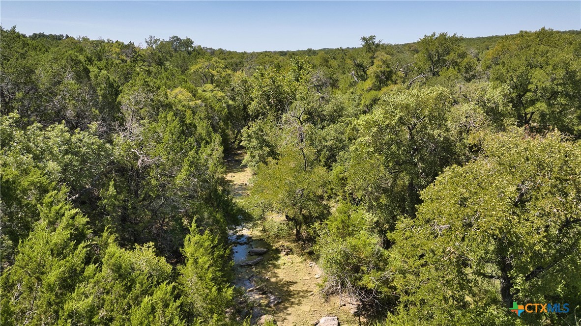 19131 Wolfridge Road Property Photo