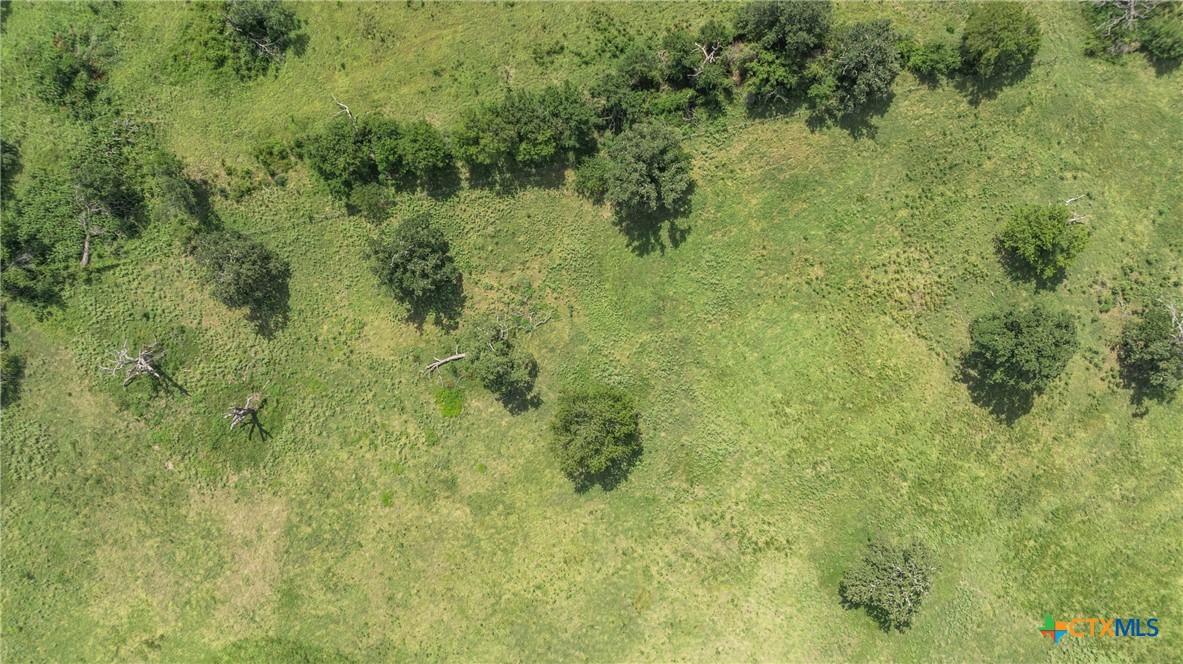 Tbd Moss Springs Road Property Photo 11