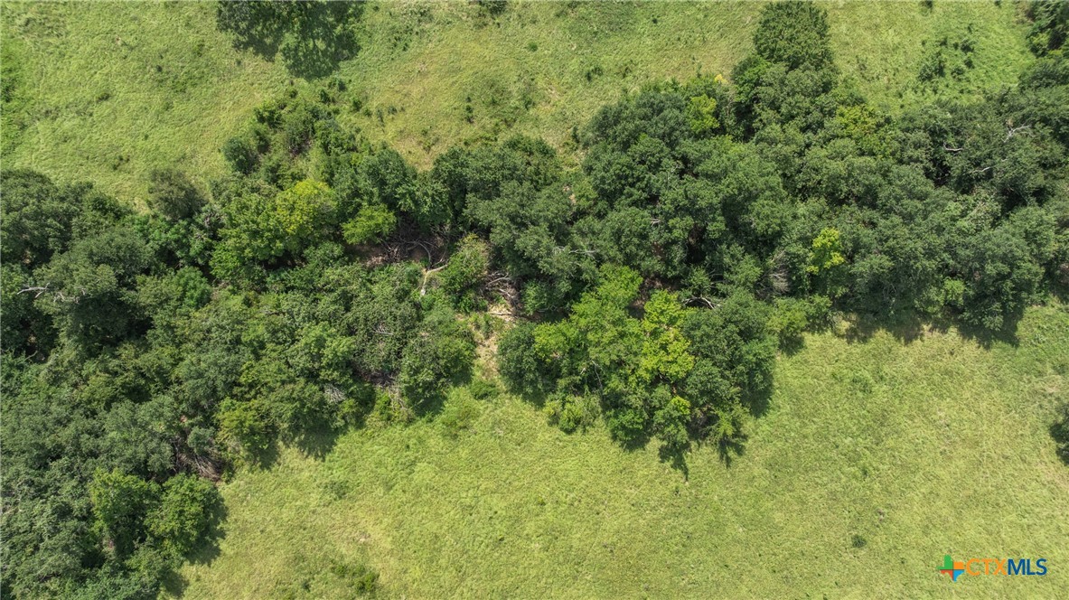 Tbd Moss Springs Road Property Photo 12