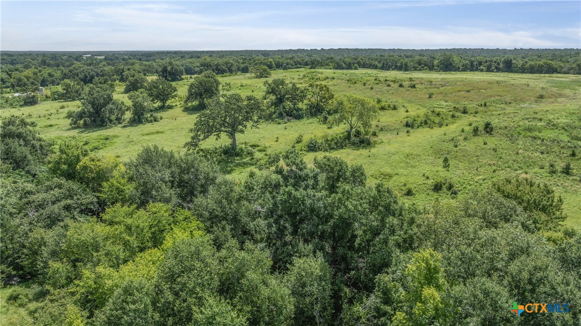 Tbd Moss Springs Road Property Photo 13