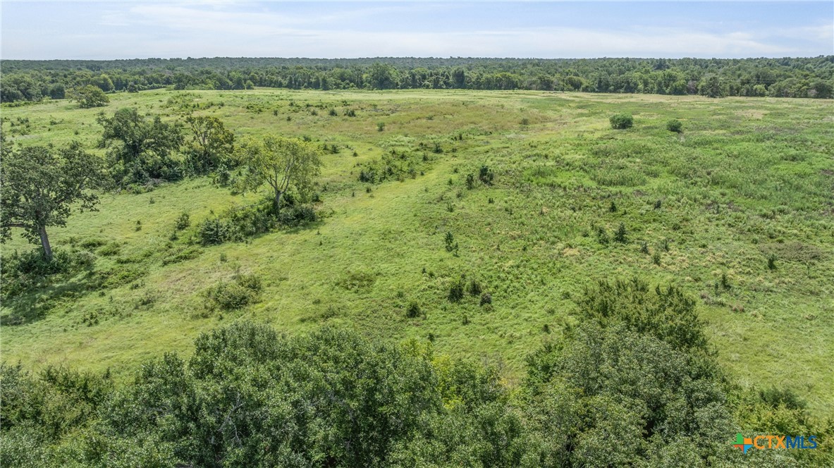 Tbd Moss Springs Road Property Photo 14