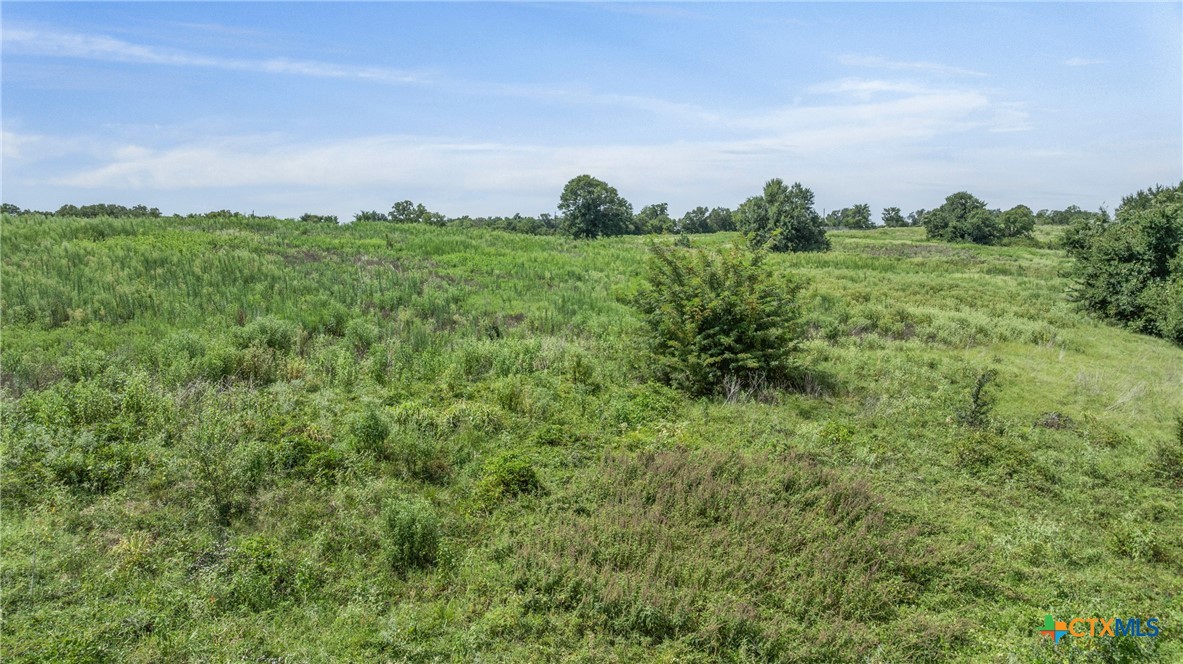 Tbd Moss Springs Road Property Photo 16