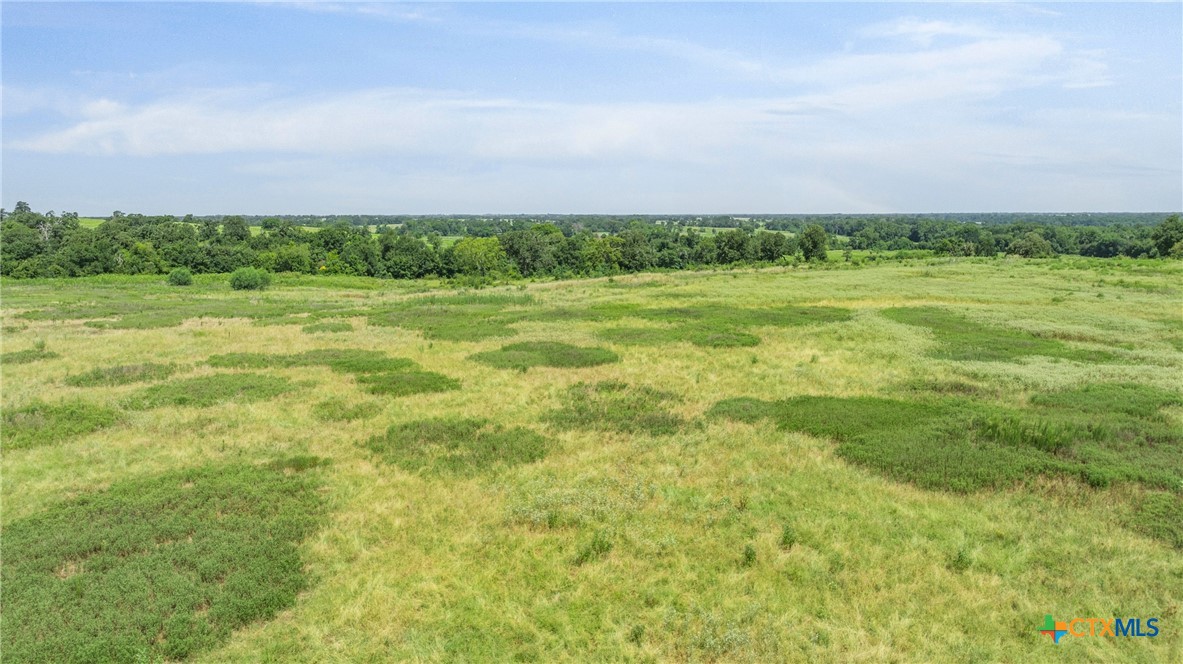 Tbd Moss Springs Road Property Photo 19
