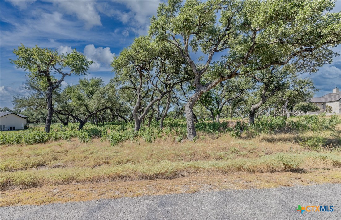 1625 Vintage Way Property Photo 3
