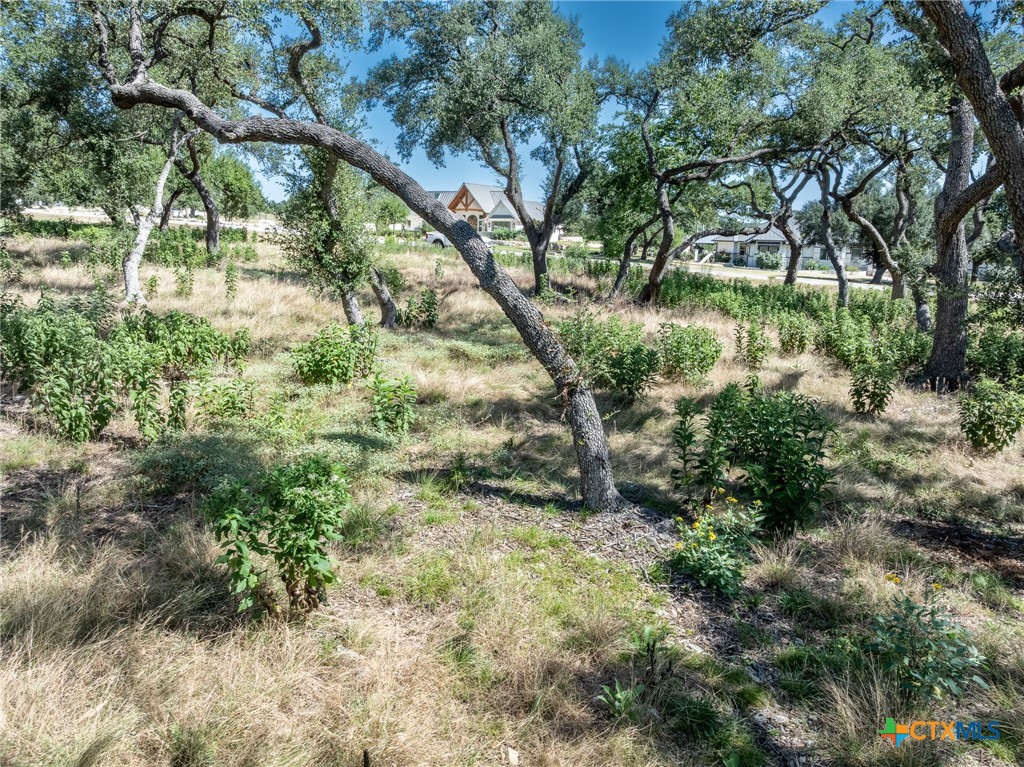 1625 Vintage Way Property Photo 6