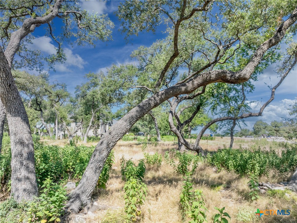 1625 Vintage Way Property Photo 10