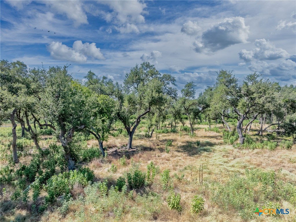 1625 Vintage Way Property Photo 11