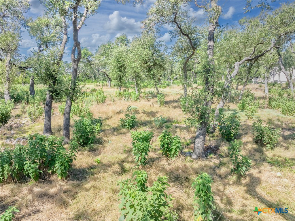 1625 Vintage Way Property Photo 12
