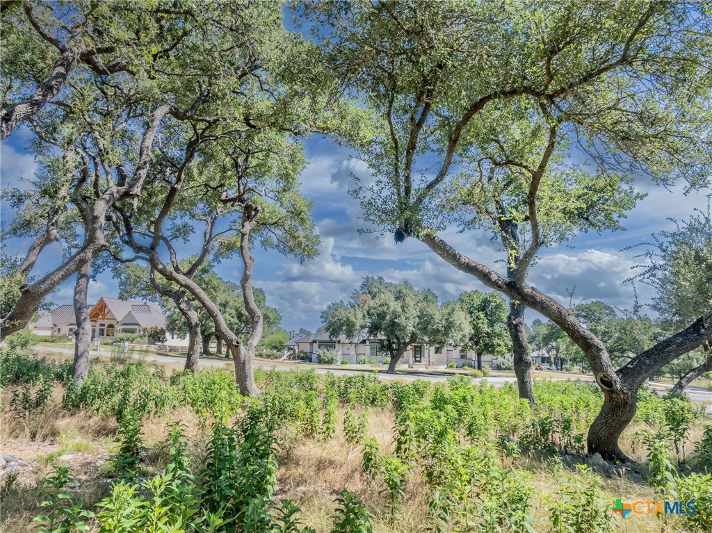 1625 Vintage Way Property Photo 13