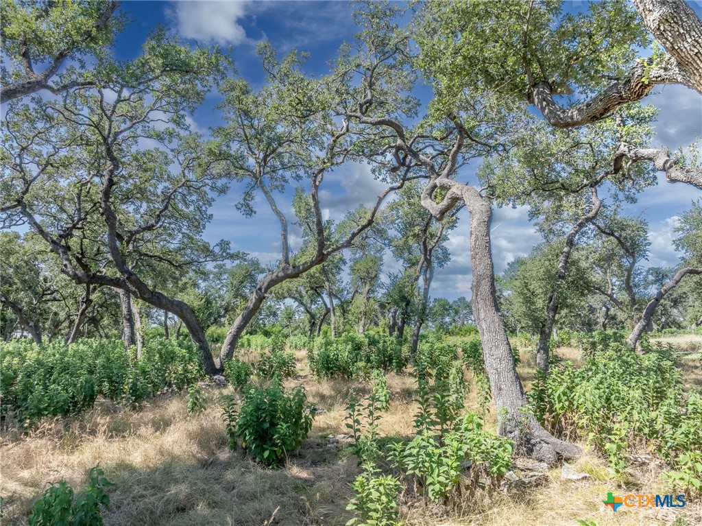 1625 Vintage Way Property Photo 16