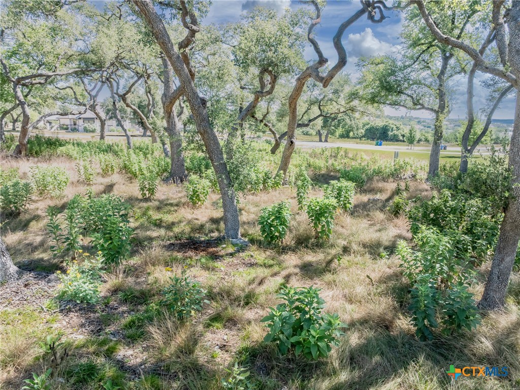 1625 Vintage Way Property Photo 17